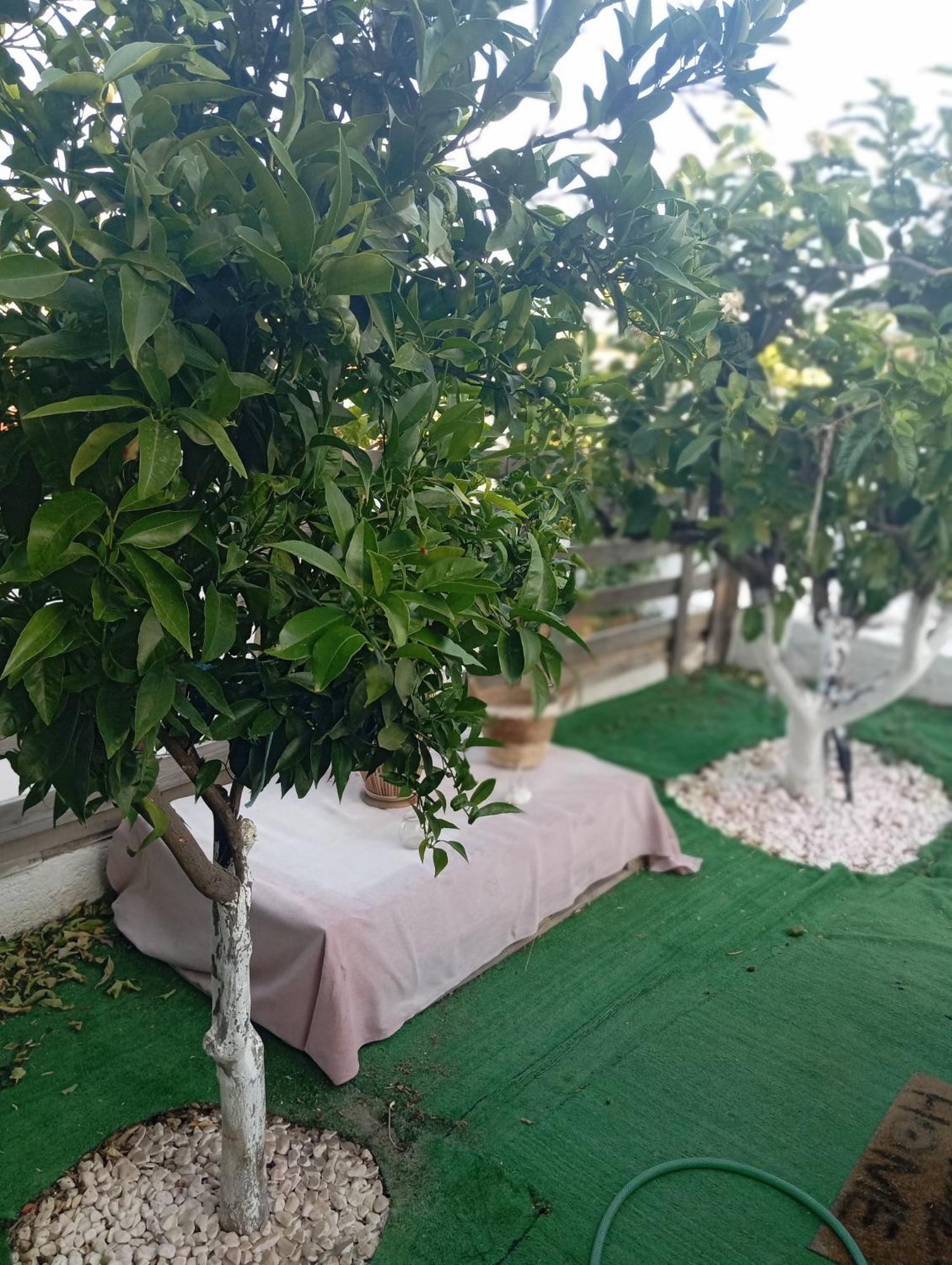 Queens Luxury Glamping Palaiokastro  外观 照片