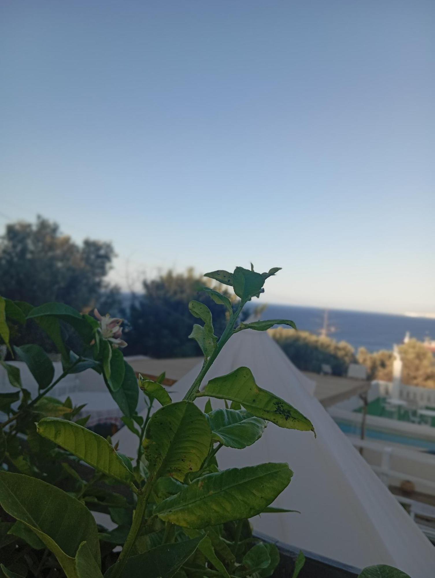Queens Luxury Glamping Palaiokastro  外观 照片