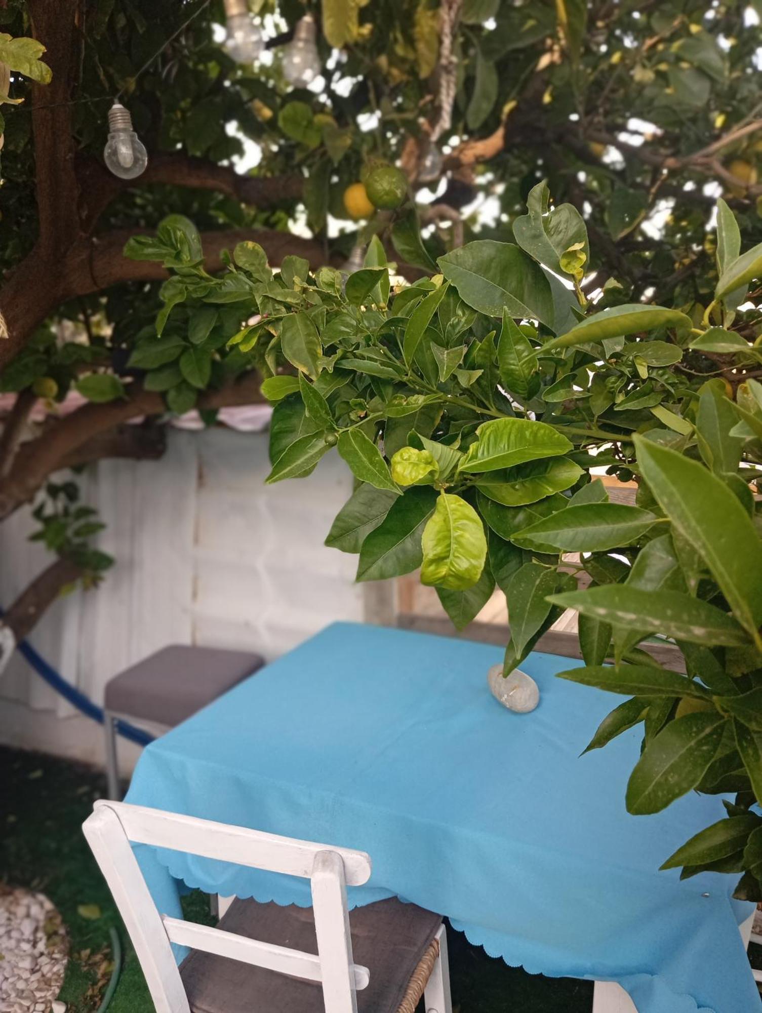 Queens Luxury Glamping Palaiokastro  外观 照片