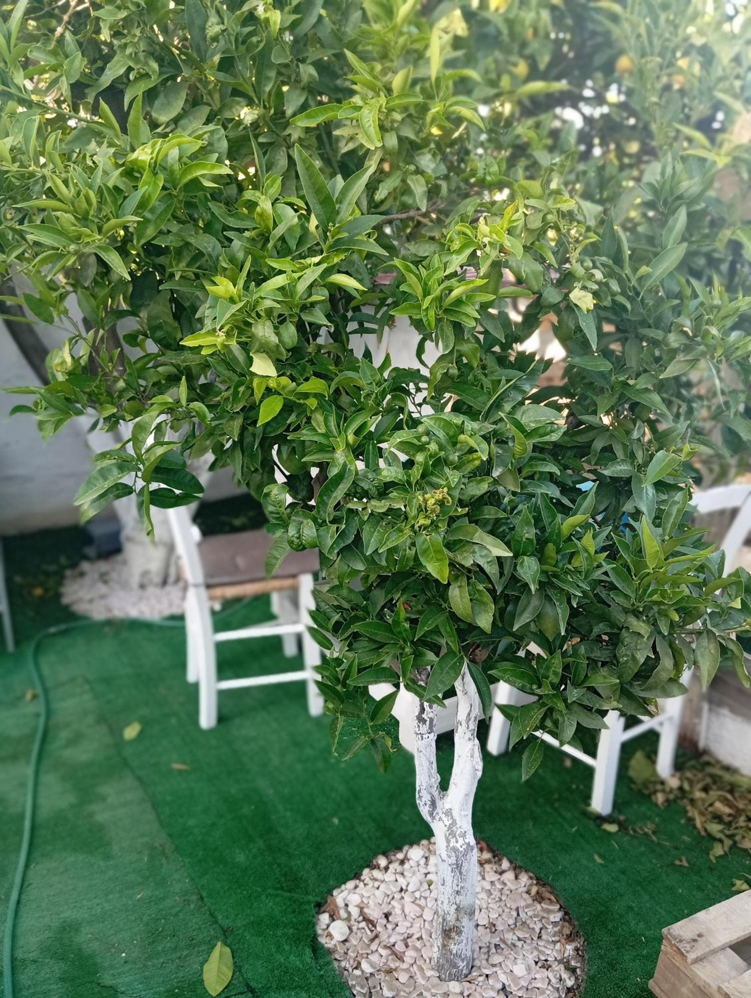 Queens Luxury Glamping Palaiokastro  外观 照片