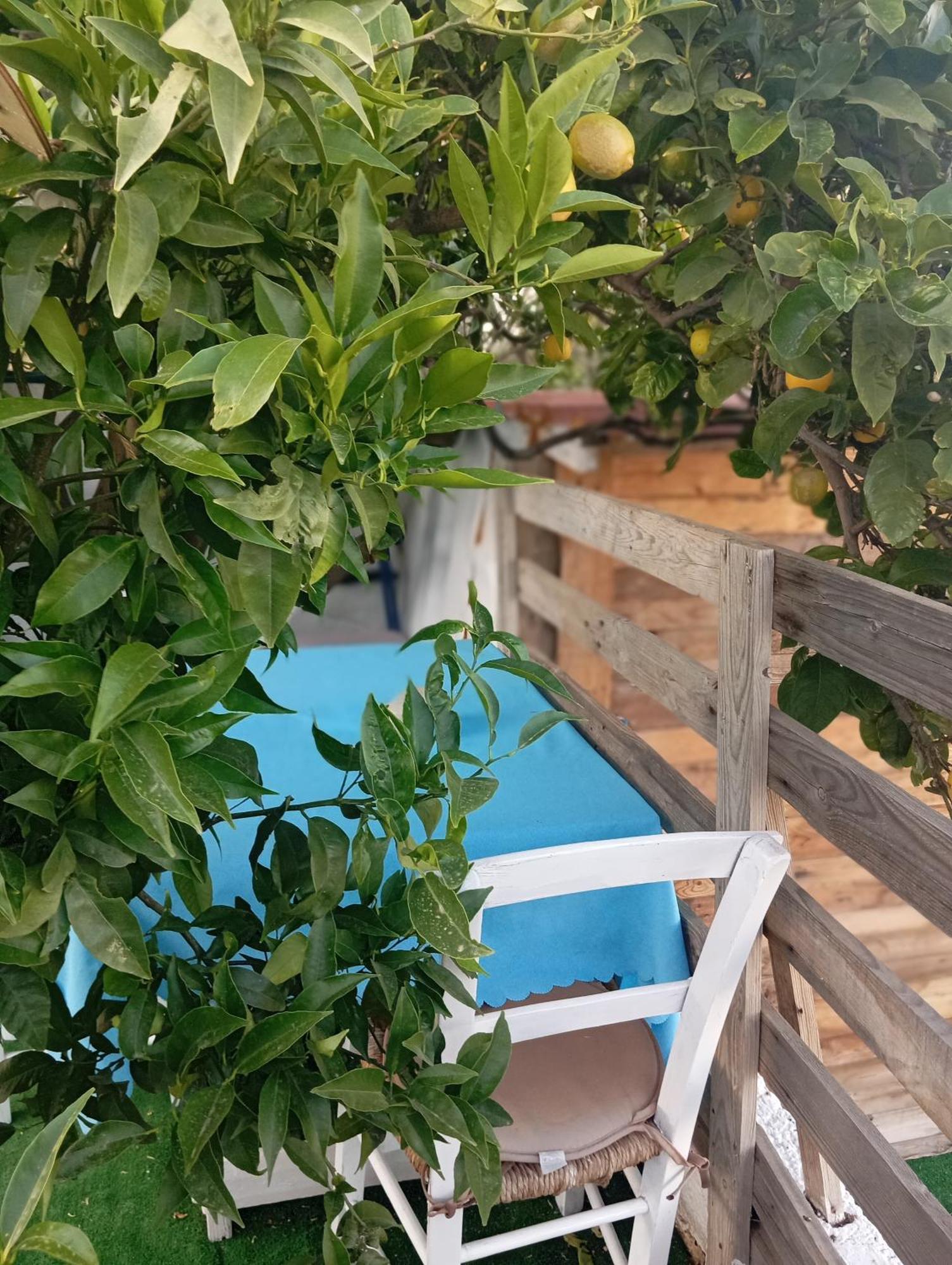 Queens Luxury Glamping Palaiokastro  外观 照片